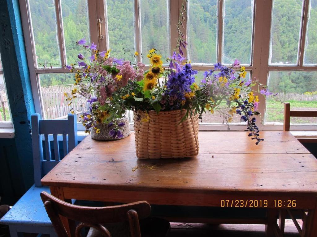 Guest House Elisabeth Adishi Eksteriør billede
